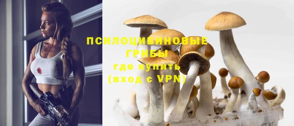 первитин Арсеньев