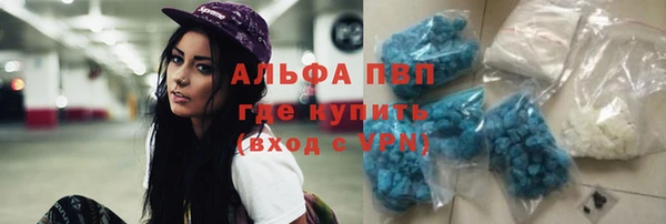 трава Пестово