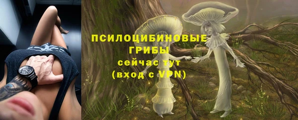 трава Пестово