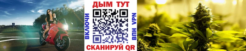 ОМГ ОМГ маркетплейс  Сураж  Марихуана гибрид 